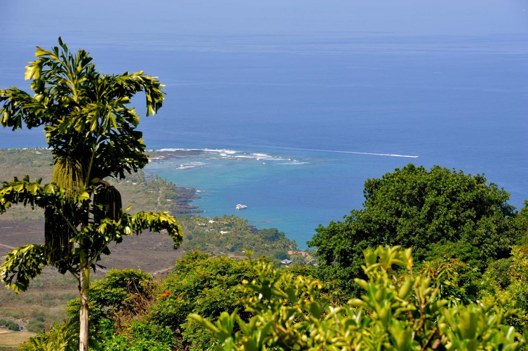Bed and Breakfast Ka'Awa Loa Plantation Captain Cook Exterior foto